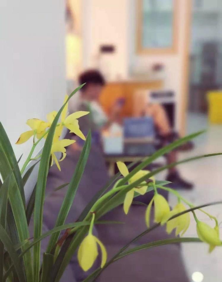 VIP 诊所室内设计 | 专业与舒适并重-42