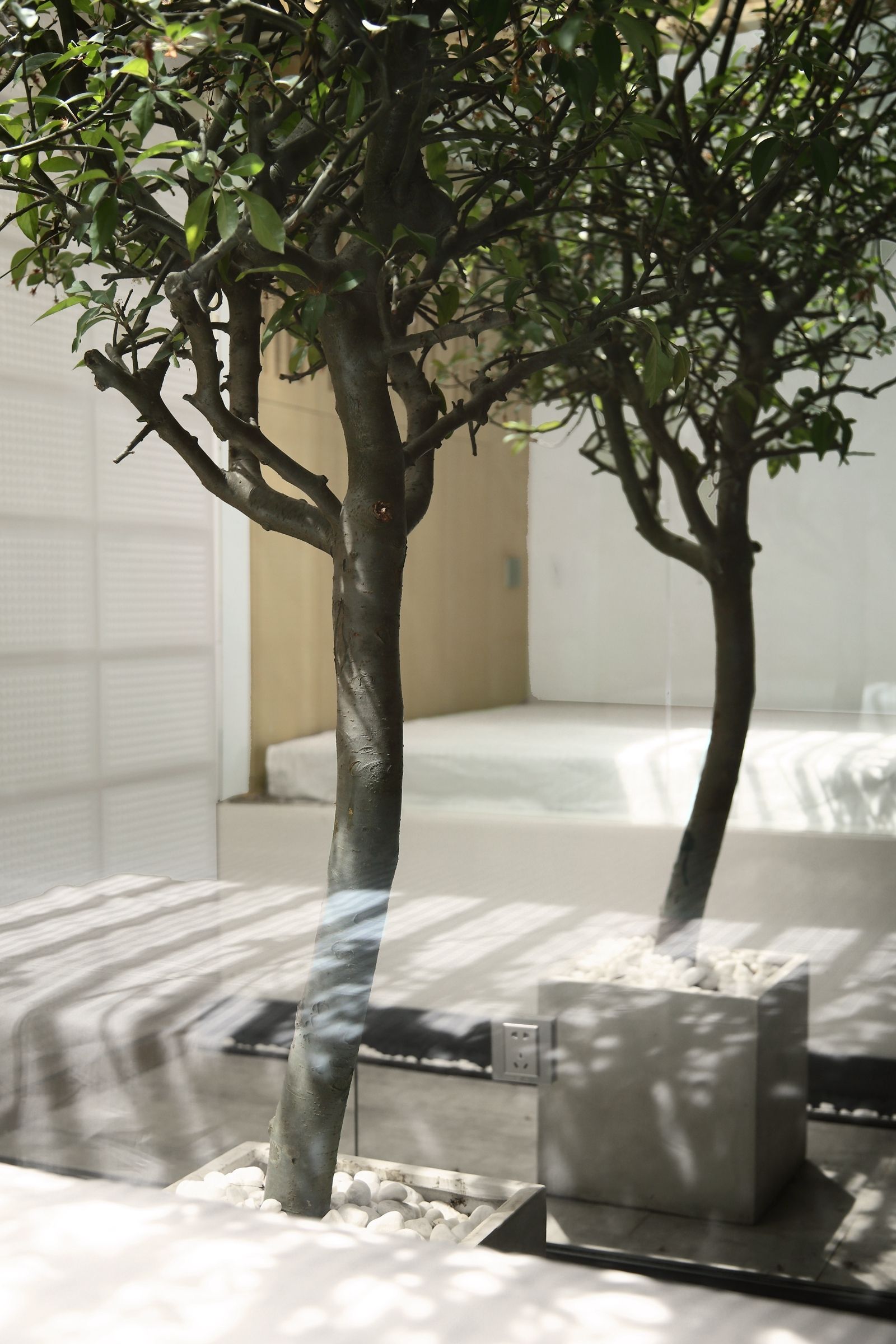 猫宅(Cat House)-36