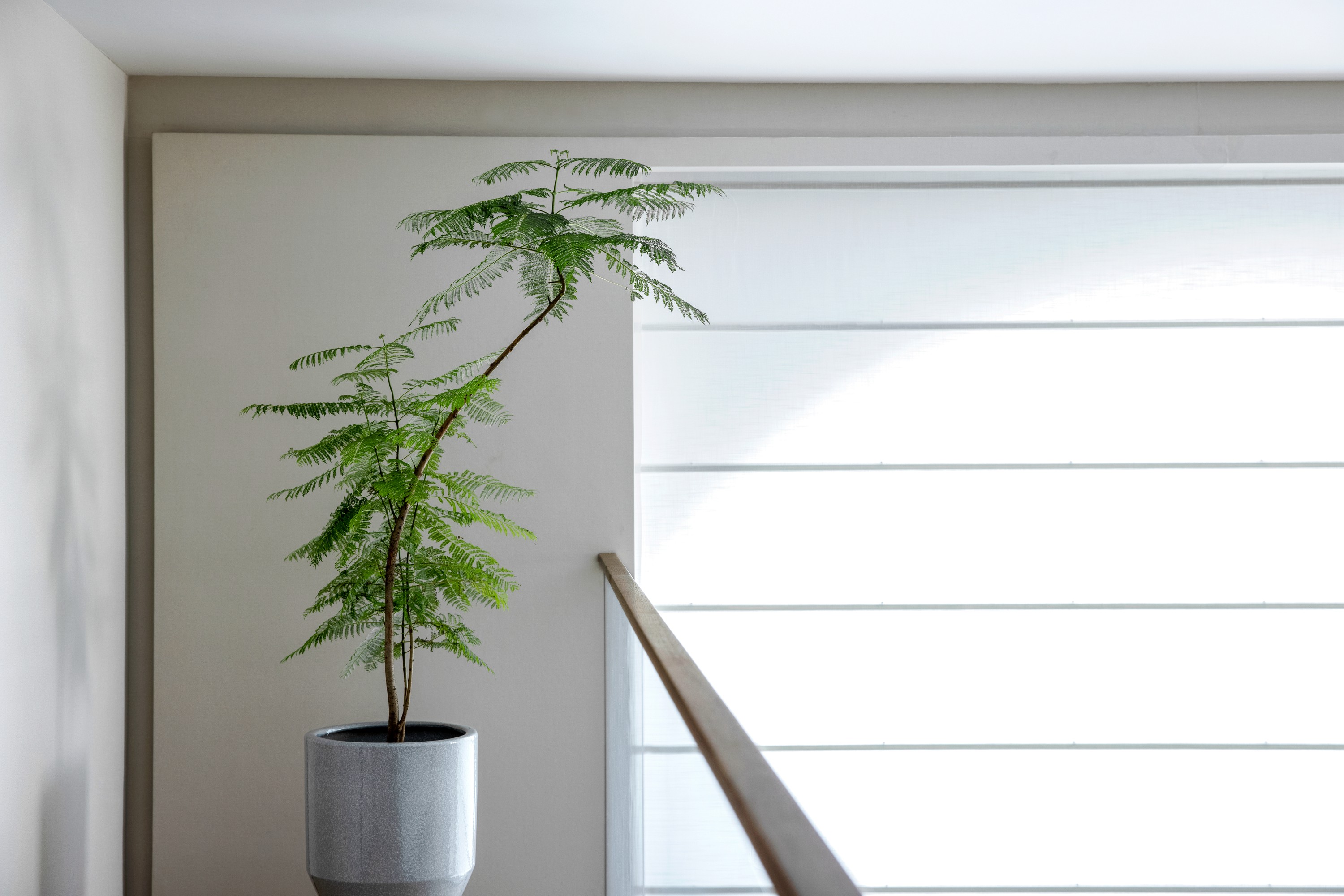 怡居丨中国温州丨NX 设计-23