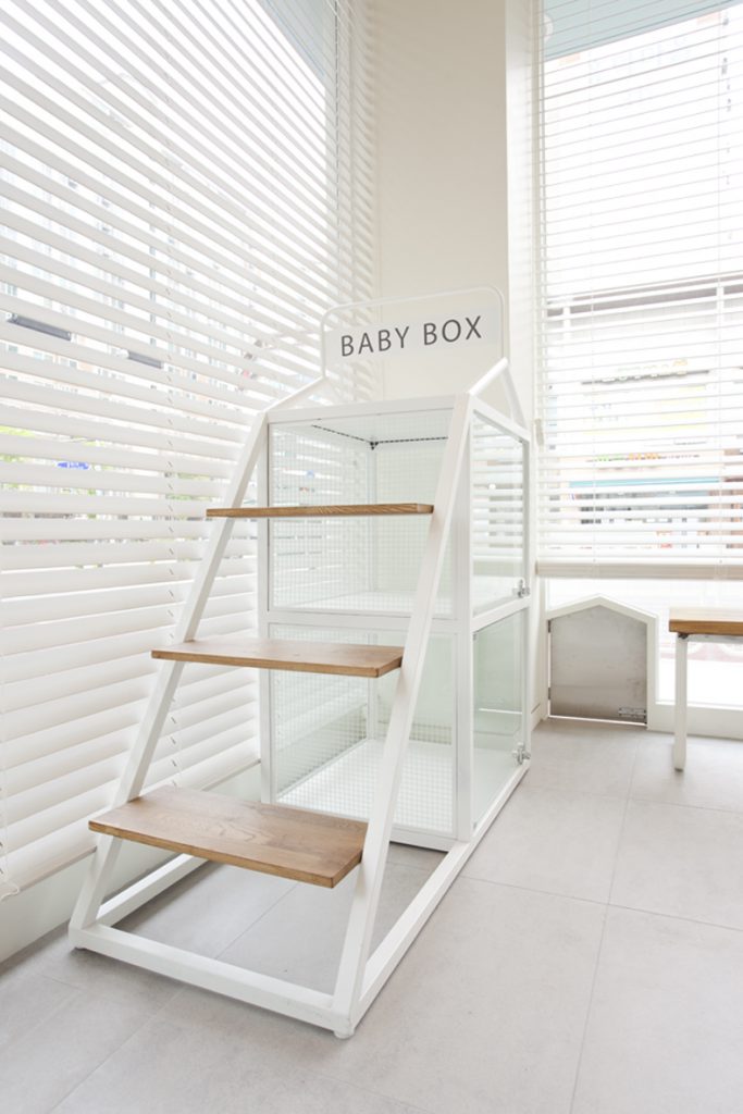 简约清新，展现专业水准的动物医院设计-12