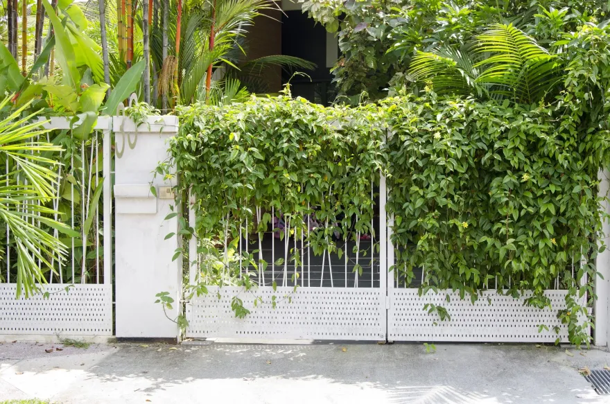 热带绿意居家-6