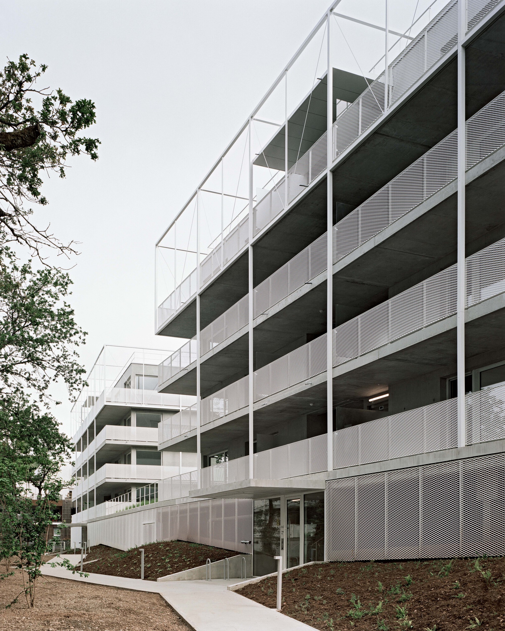 巴什住宅丨法国丨Philippe Dubus Architectes-24