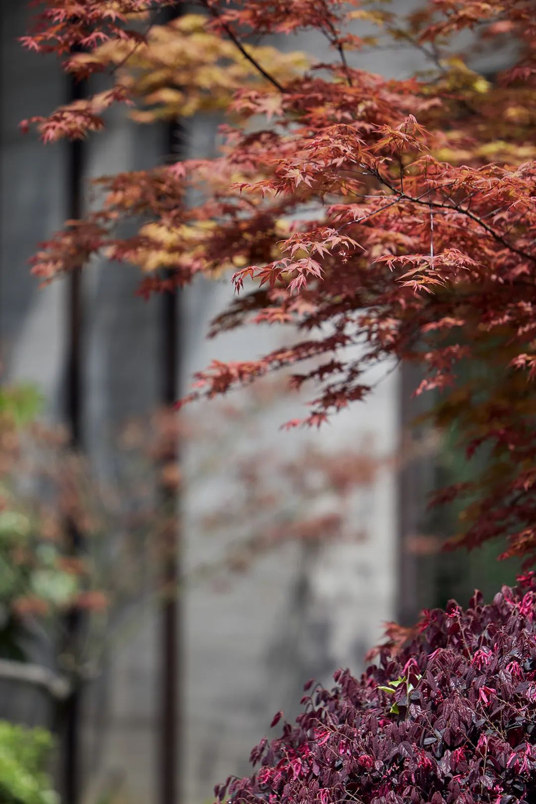 千舍作品 | 优雅奢华两相宜 — 宋都 桐庐富春望-14