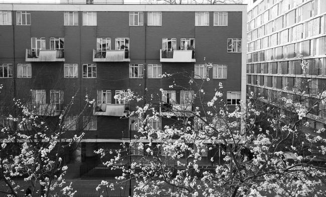 霍尔菲尔德小区（Hallfield Estate）丨英国伦敦丨“泰克顿”建筑事务所（伯特霍尔德·吕贝金等）,丹尼斯·拉斯登等-3