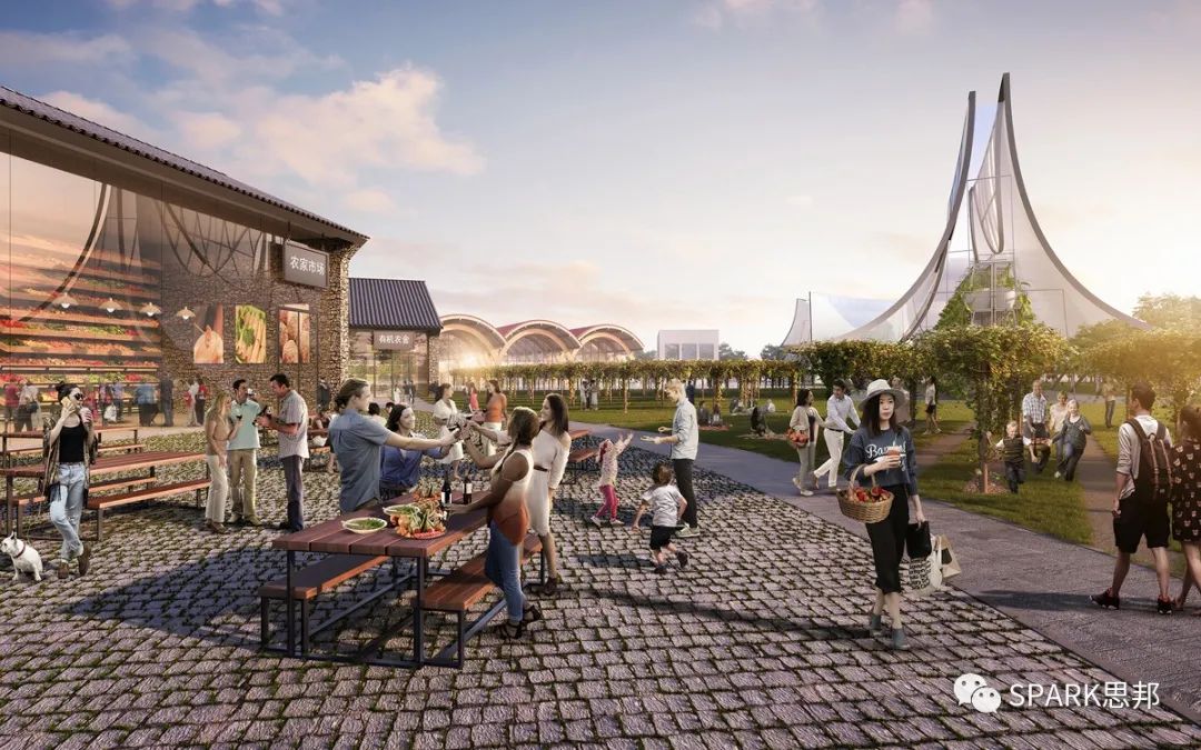 SPARK 思邦 20 周年城市改造之旅 | 化繁为简，焕发生机-141