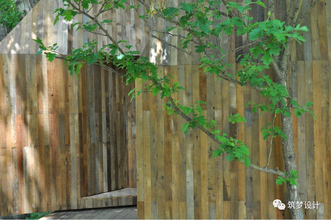 听闻 |这个春天到北京看树屋-13