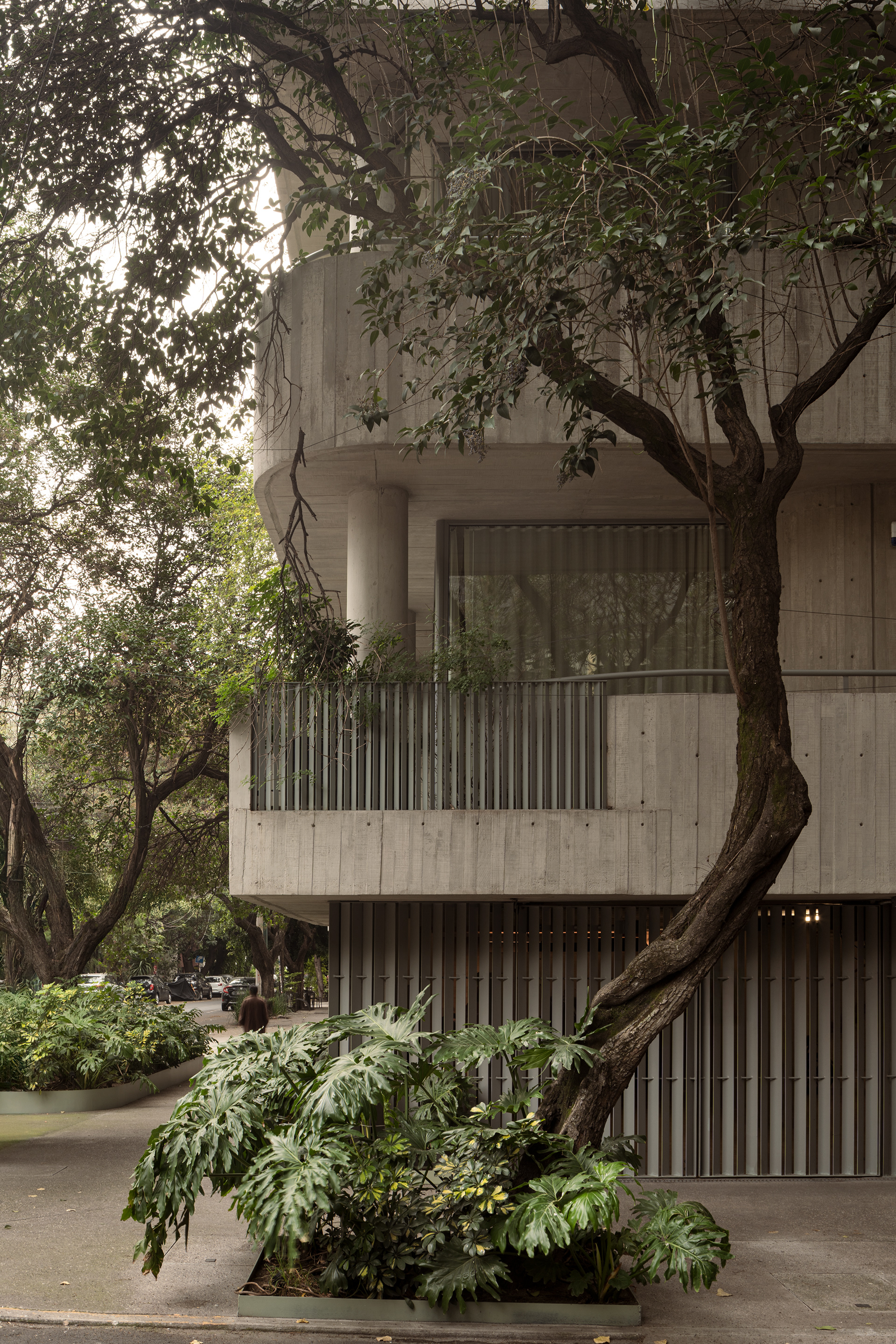 未明确提及丨MICHAN ARCHITECTURE-13