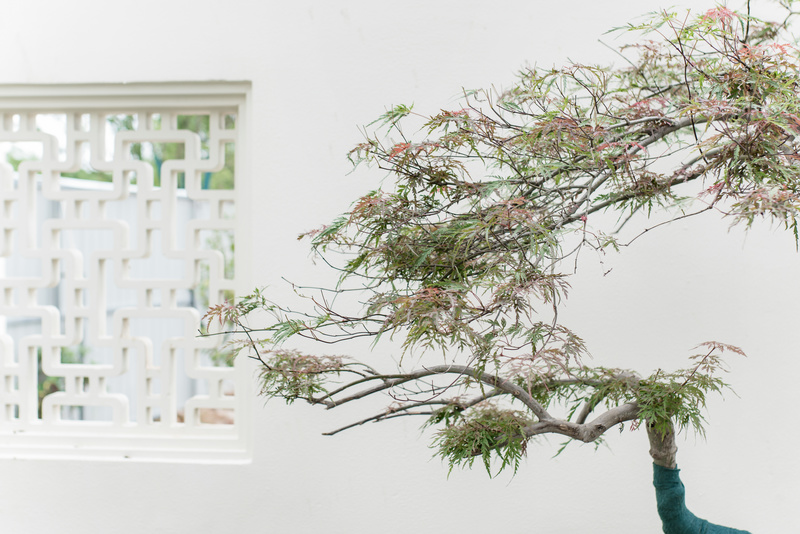 中建蓝城宣城桃花源——新中式风雅之居-6