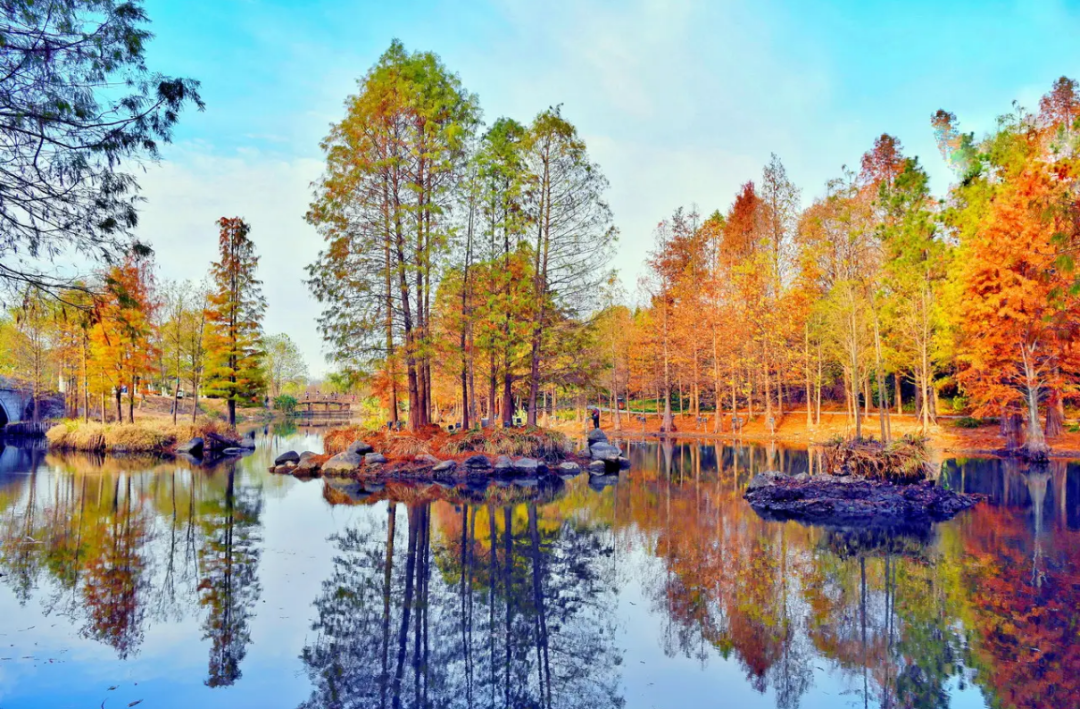 NJFU·人物|在自然肌理中雕琢生态诗篇——南京林业大学严军教授的生态设计实践-4