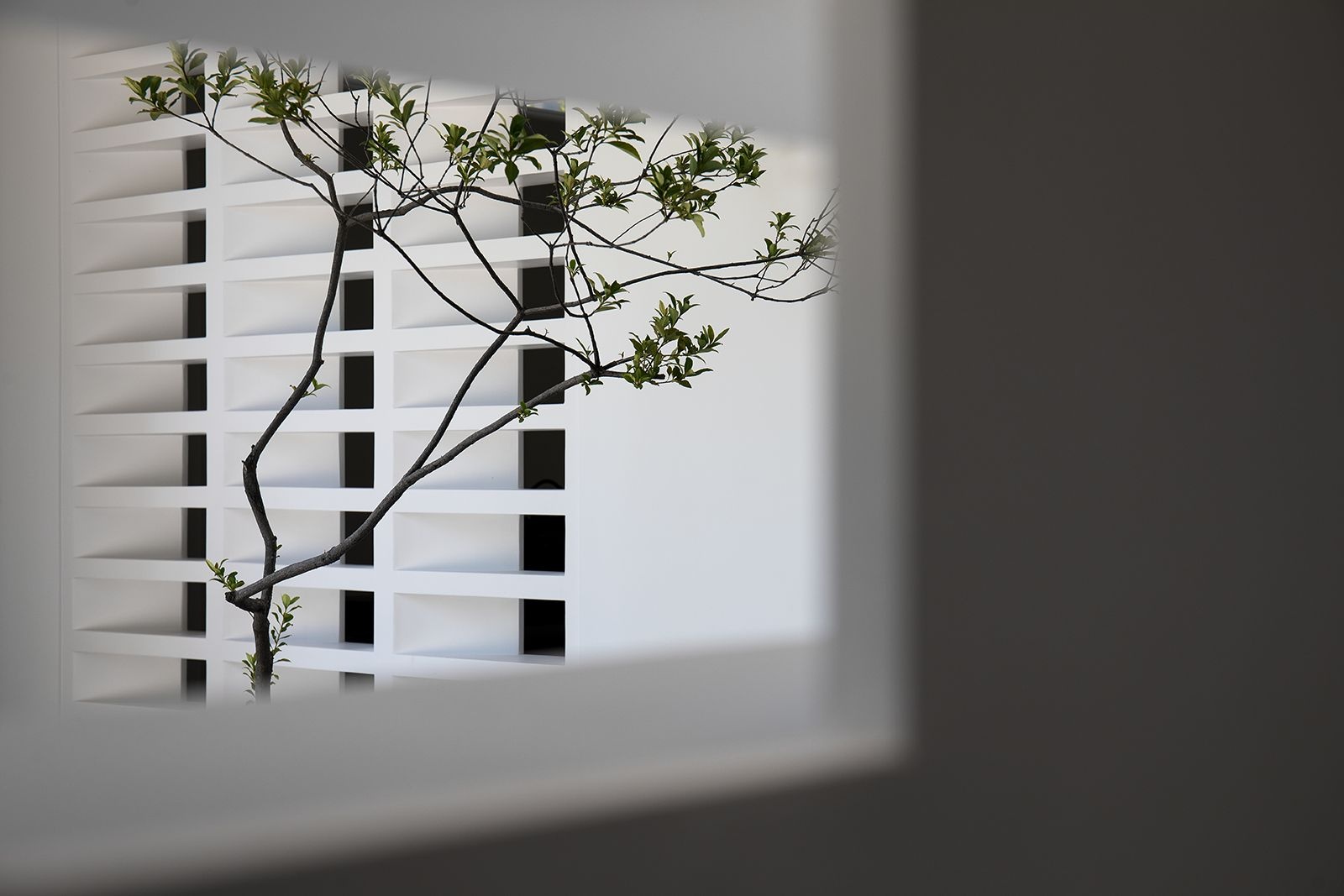 太姥山茶室丨中国莆田丨莆田墨臣空间设计-11