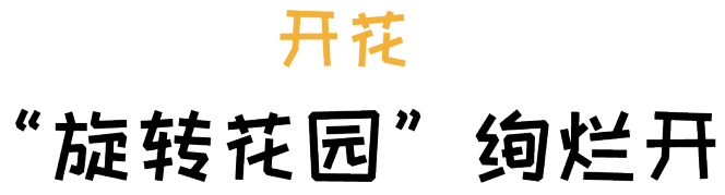 阿飞森林主题乐园 | 种子生长之旅的室内设计亮点-61