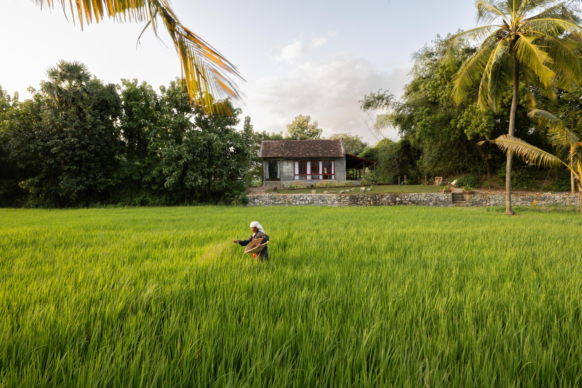 丨印度丨Episode architects-28