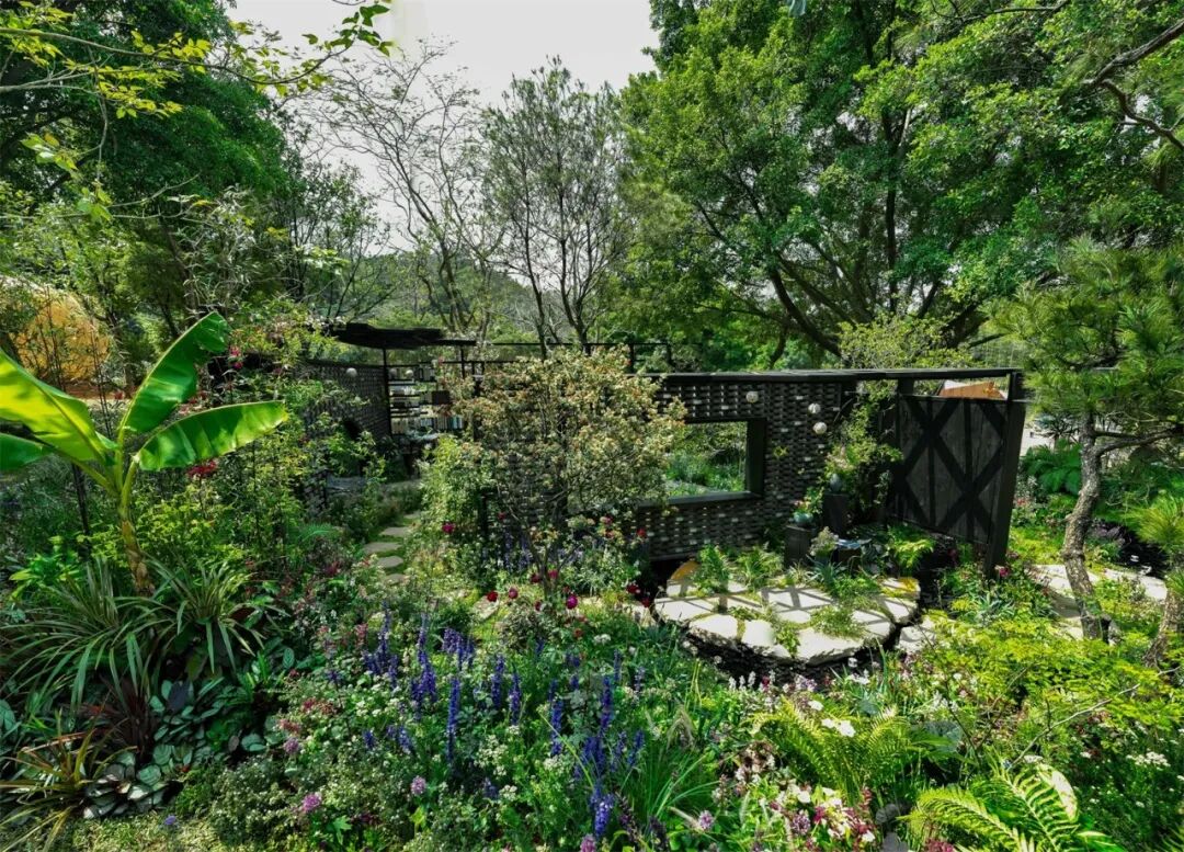 绮云书香|2024粤港澳大湾区花展宝安区城市花园-33