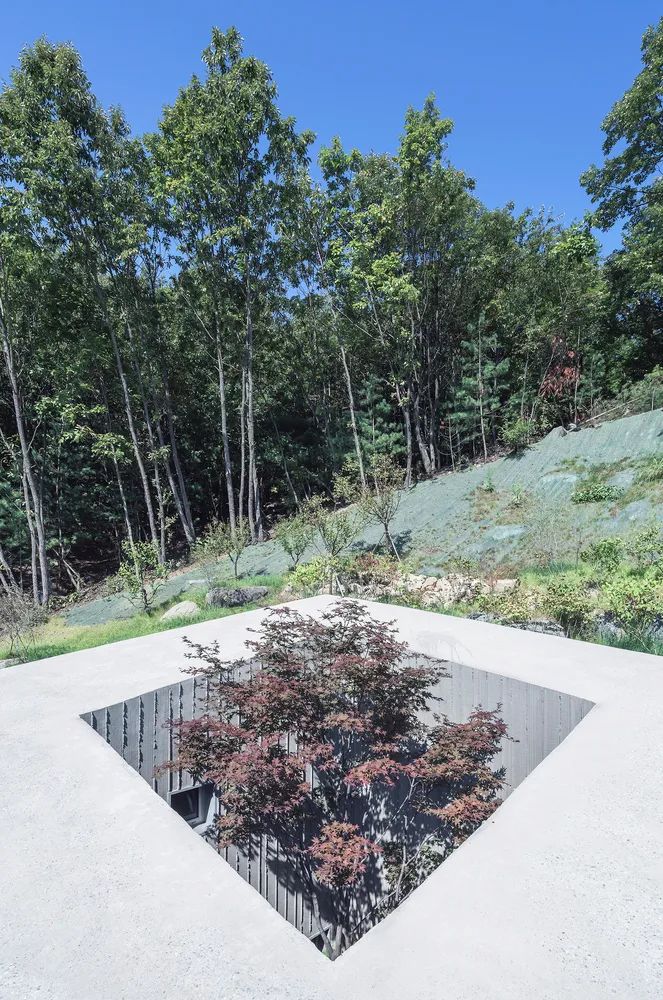 首尔以东的倾斜屋顶乡村住宅-19