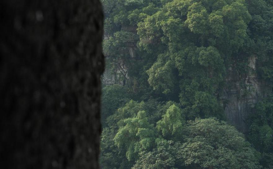 水墨山水之筑笔墨山壑丨中国柳州-91