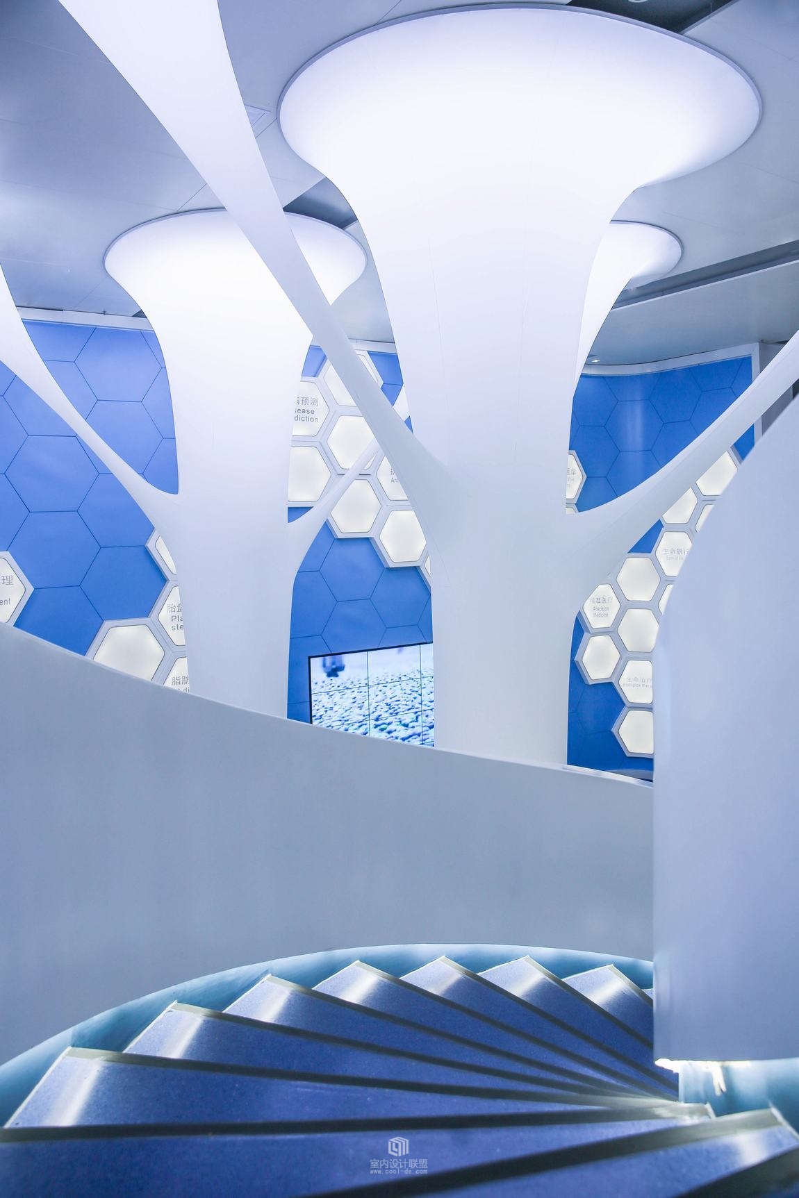 CDI创思设计--赛莱拉干细胞办公室-10