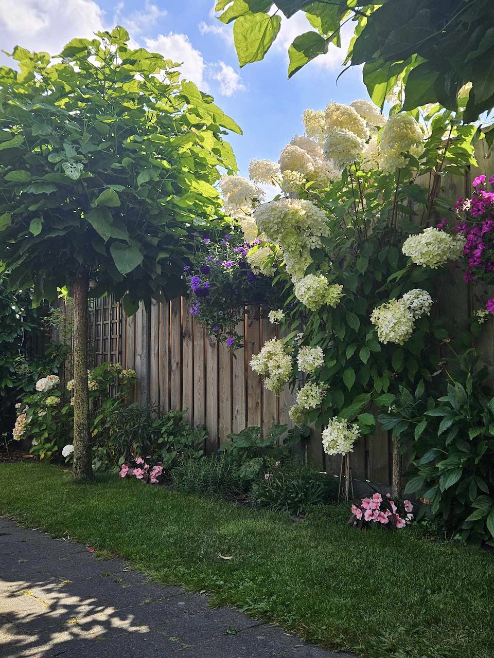 Margreet的带露台小花园丨荷兰阿森-19