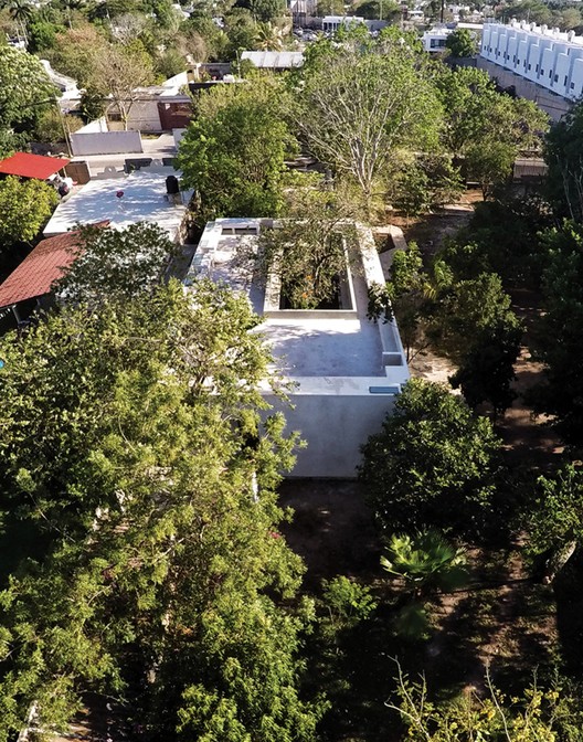 隐秘庭院 · 绿色核心的家庭住宅-12