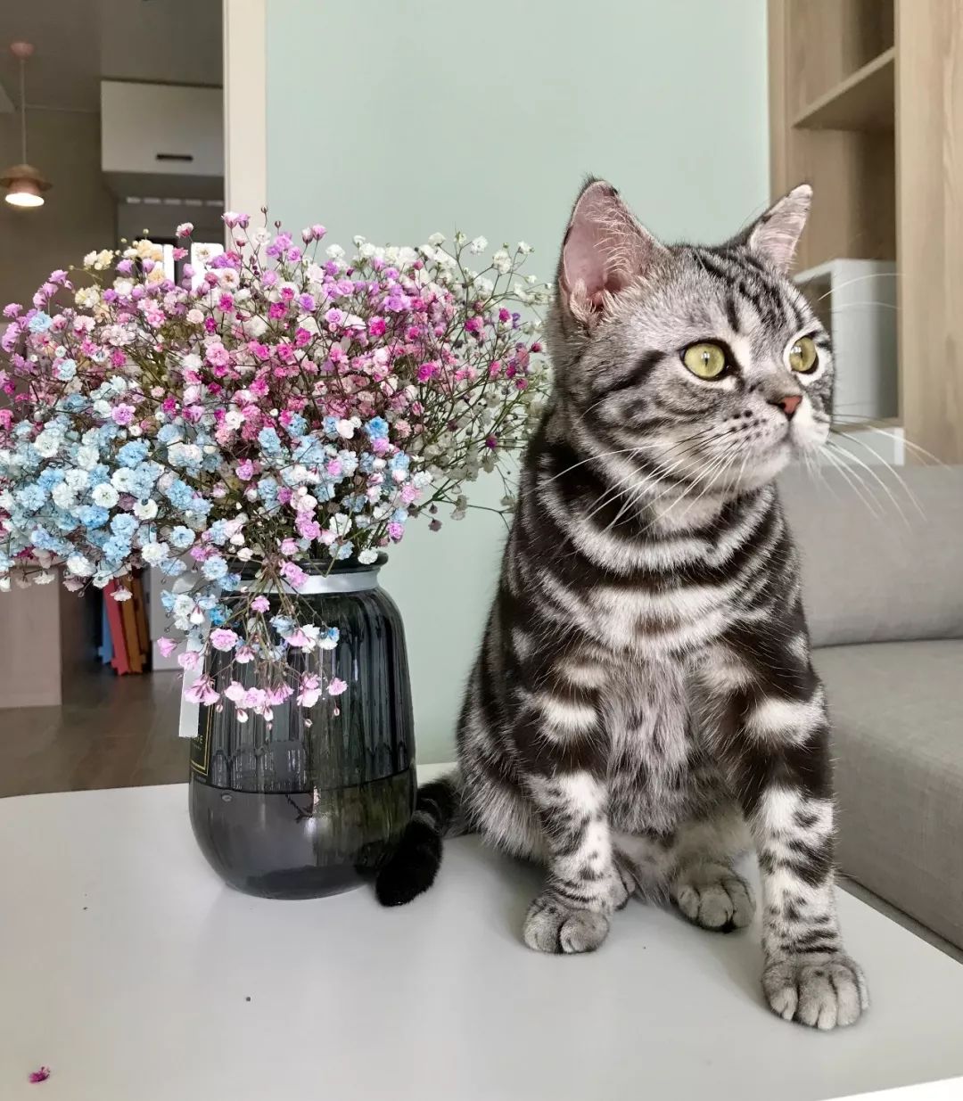 46㎡老房的原木风改造 | 小户型收纳空间的定制艺术-3