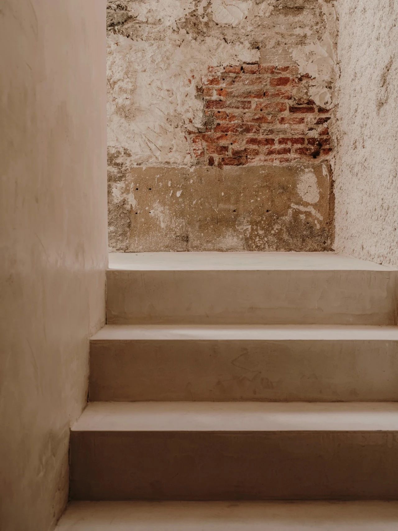 PLANTEA｜新的生命力-53