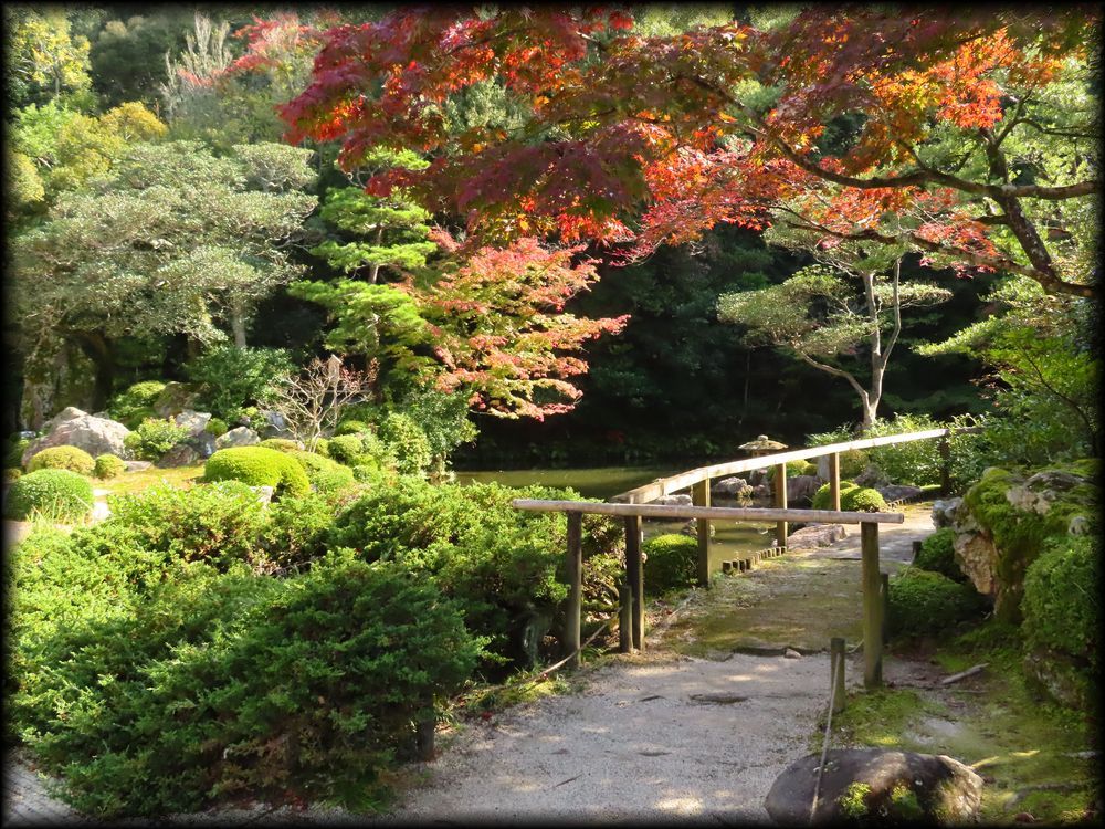 知恩院方丈庭園,山亭庭園丨日本京都丨僧·玉淵-5