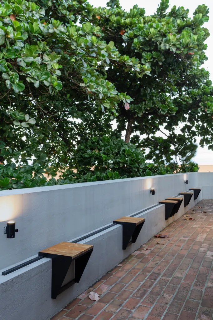 丨巴西伯南布哥-220