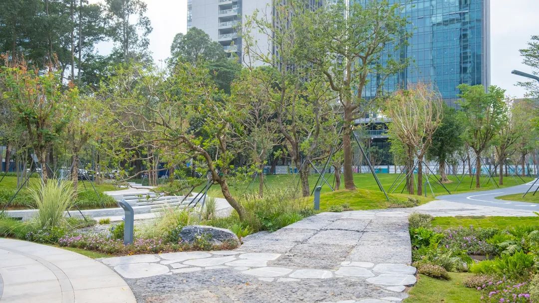 深圳智见·云上 · 科技与自然融合的社区公园丨中国深圳丨林俊英景观工作室,深圳市造源景观旅游规划设计有限公司-107