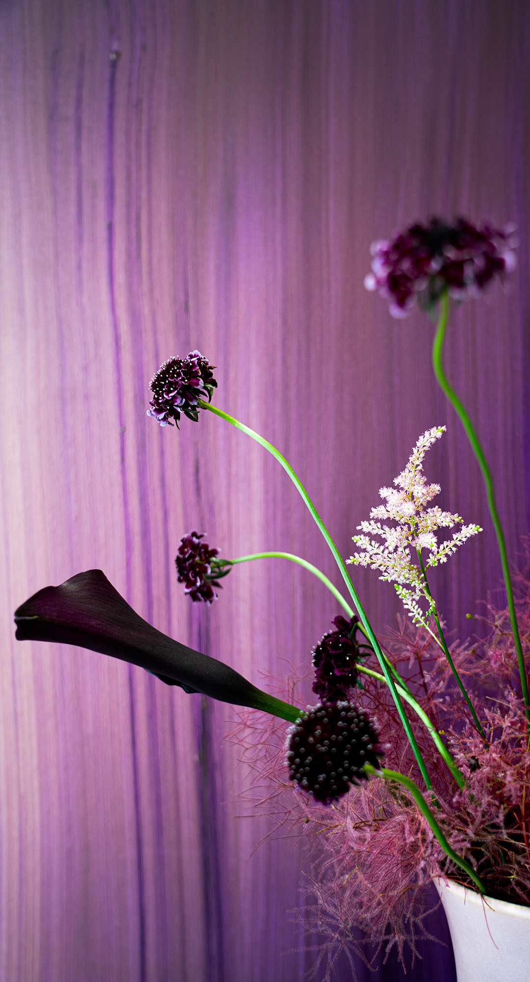 布鲁盟新作｜绿景白石洲城市更新馆：循梦而栖，人文绿洲-148