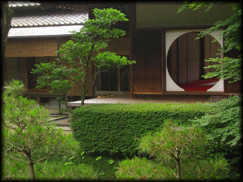 明月院丨日本神奈川-19