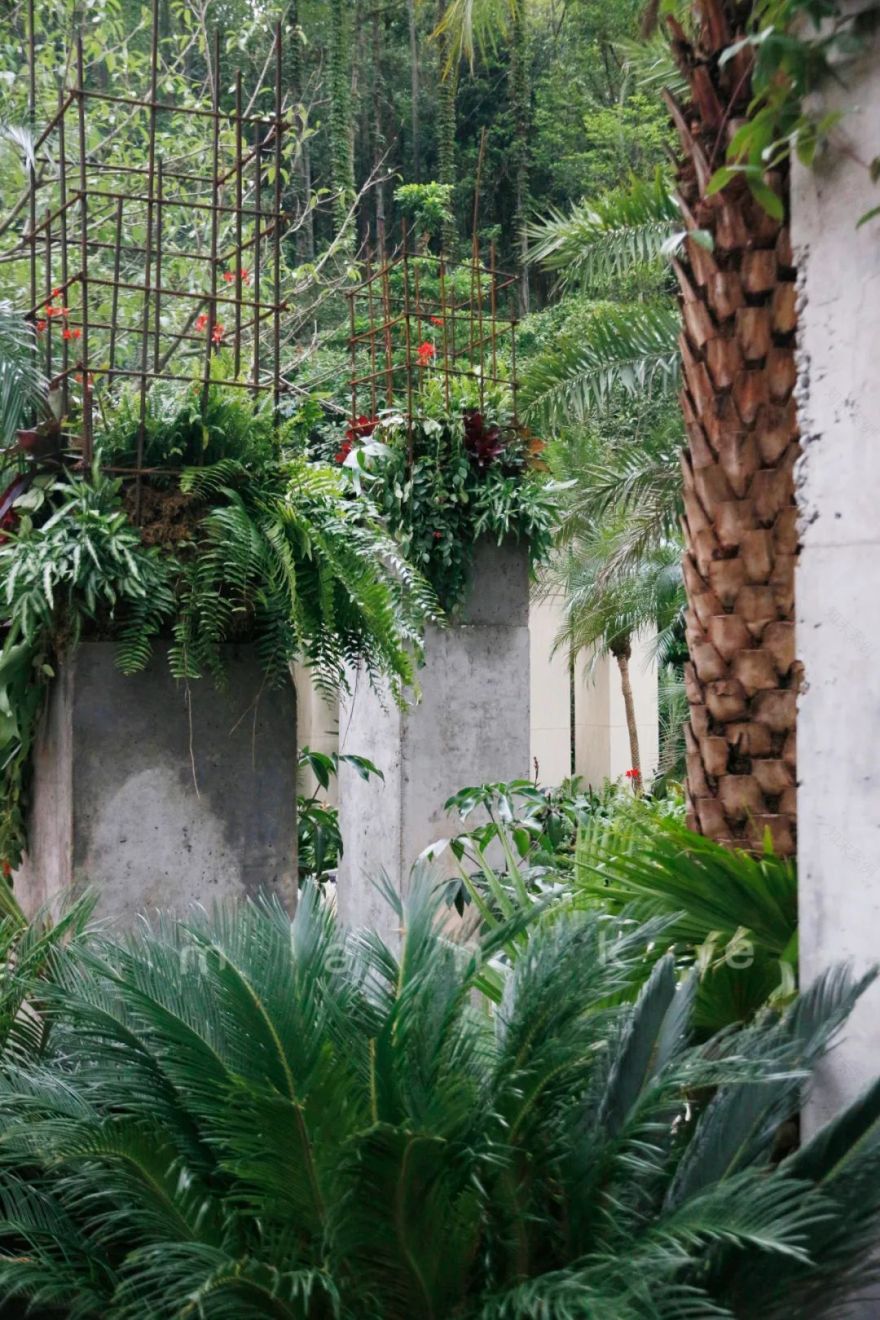 仲夏夜之梦 · 莎士比亚灵感的花园设计丨中国深圳丨Sarah Eberle(英国)-35