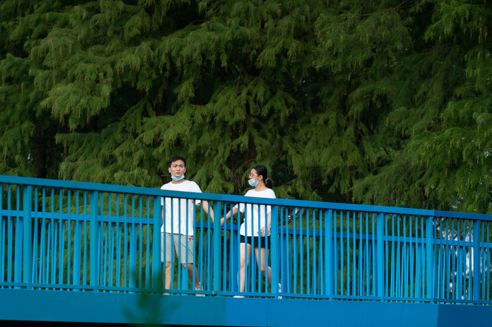 武汉华侨城D3地块南侧湿地公园-20