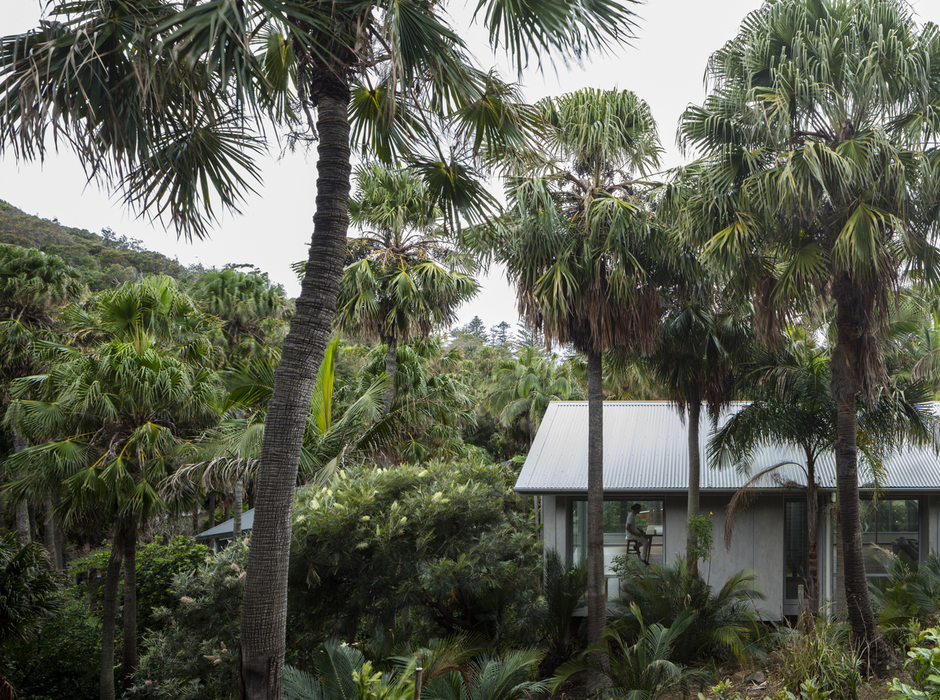 比尔戈拉海滩馆（Bilgola Beach Pavilion）-37