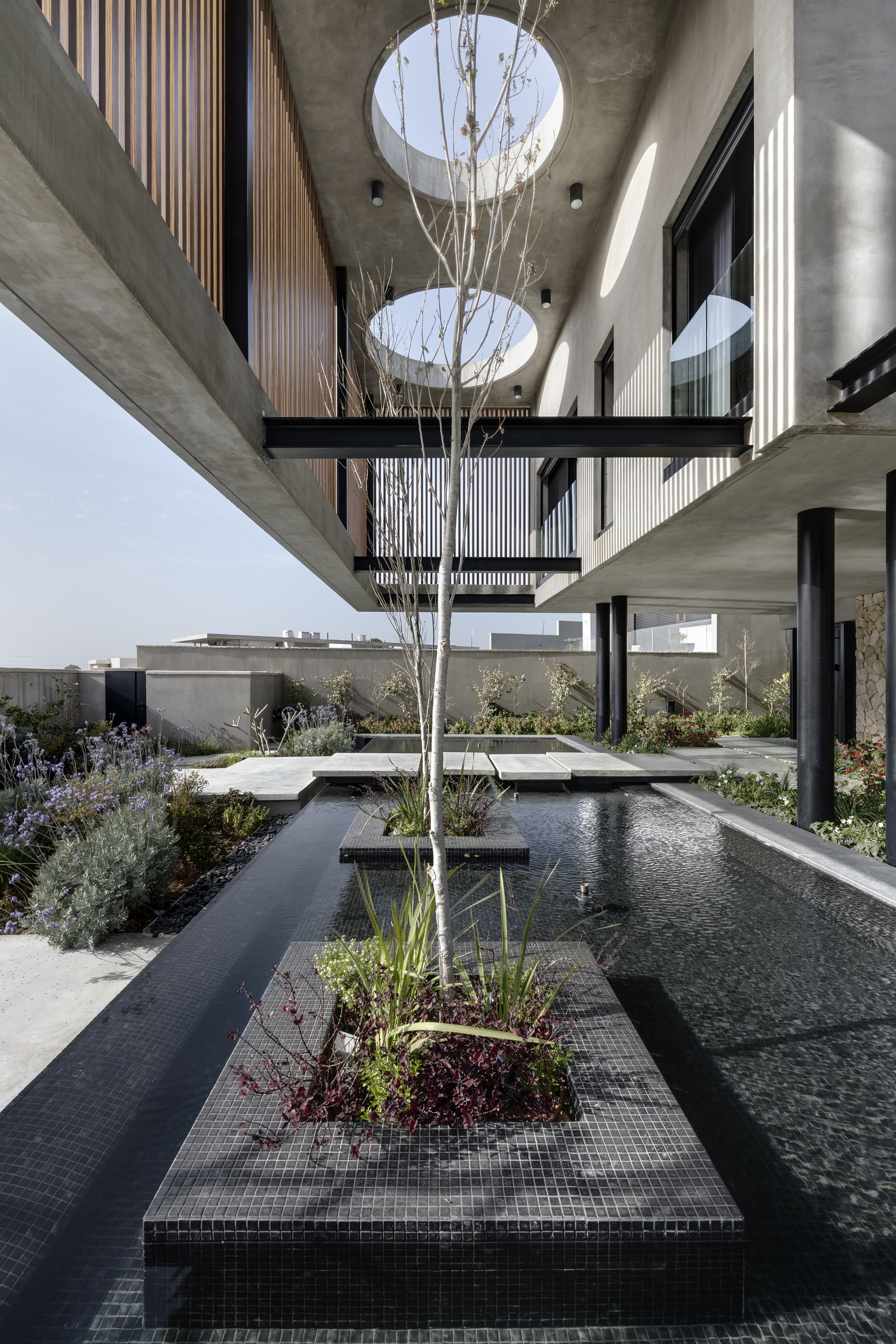 莱德豪斯丨以色列丨Dan and Hila Israelevitz Architects-33