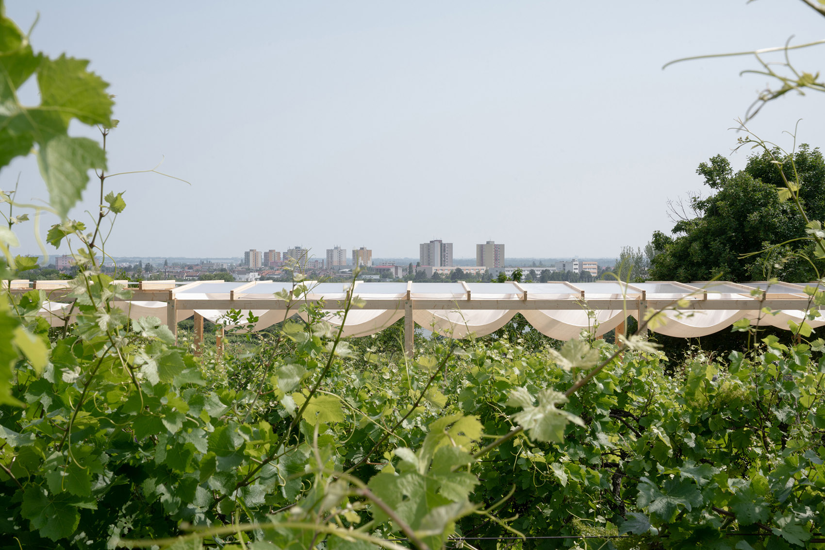 Ženy Víno放克音乐节装置丨斯洛伐克丨Jakub Kolarovič Architects-9