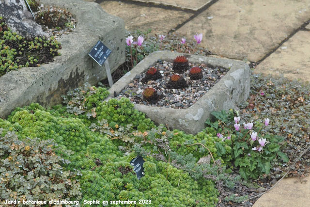 爱丁堡高山植物园丨英国爱丁堡-35