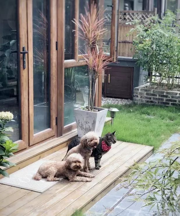 阳光里的美好片段-20