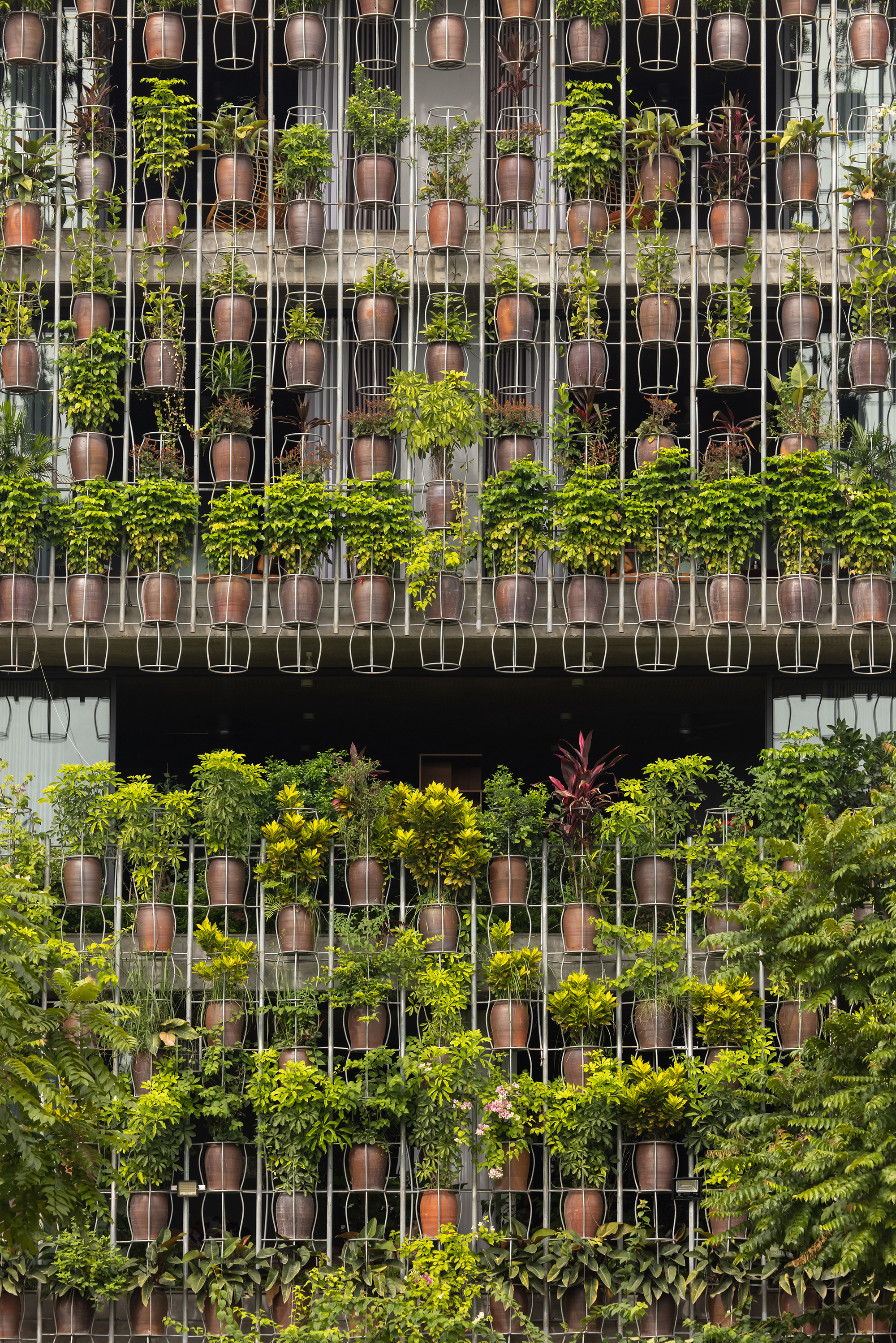 飞行植被丨H&P Architects-10