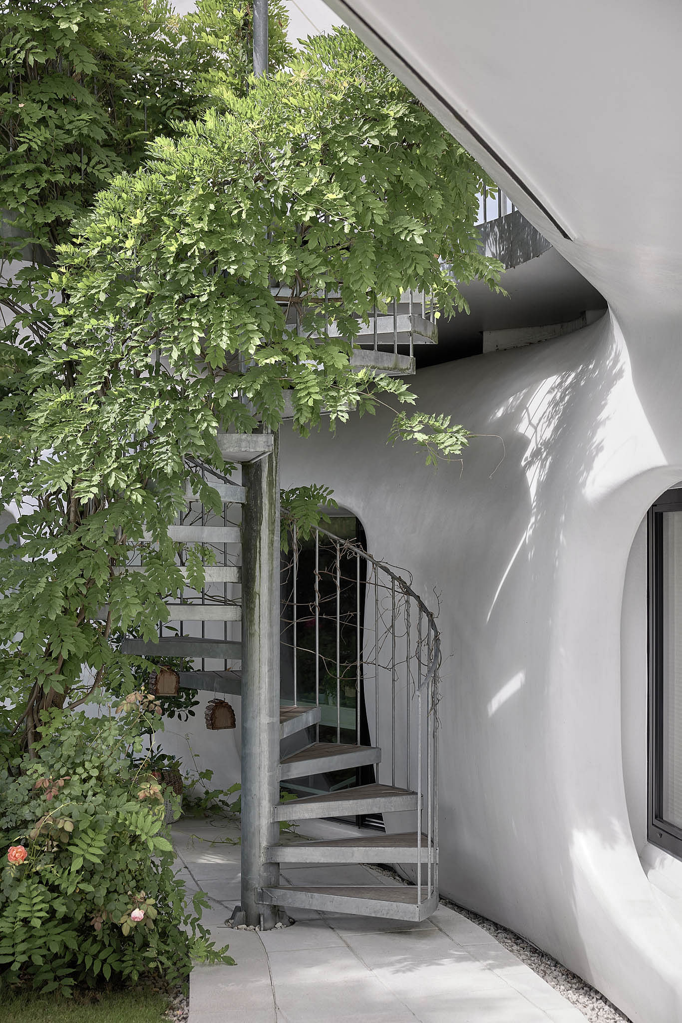 amorph living sculpture · 木材建筑丨奥地利萨尔茨堡丨Lechner & Lechner Architects-56