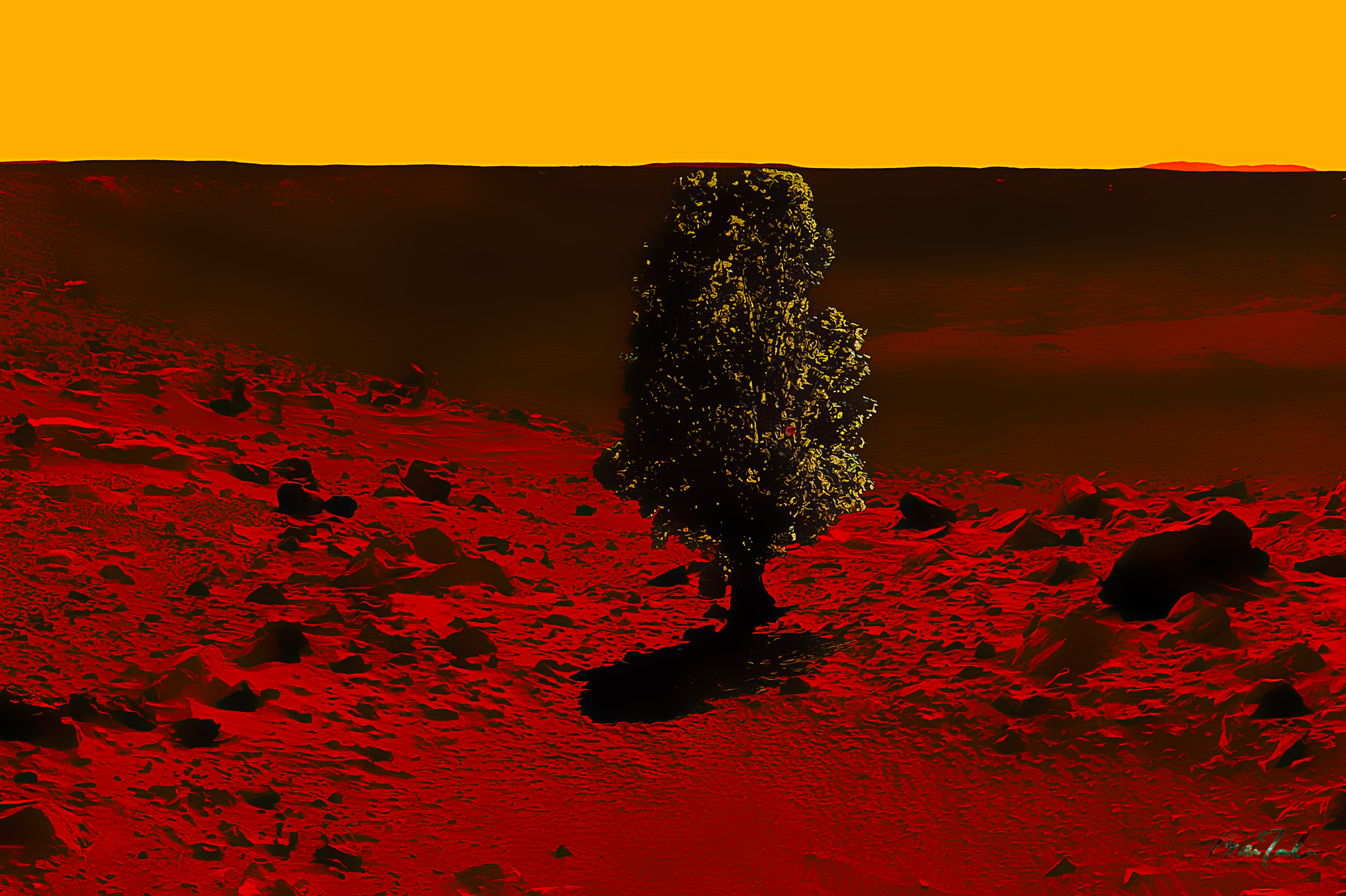 世界上的树木丨Sylvie D.-249