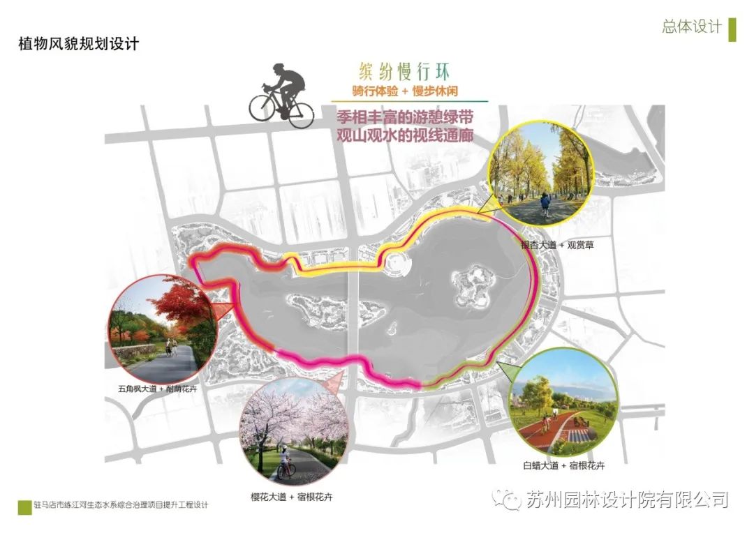 驻马店练江河生态水系提升工程 | 融合文化元素的休闲景观设计-15