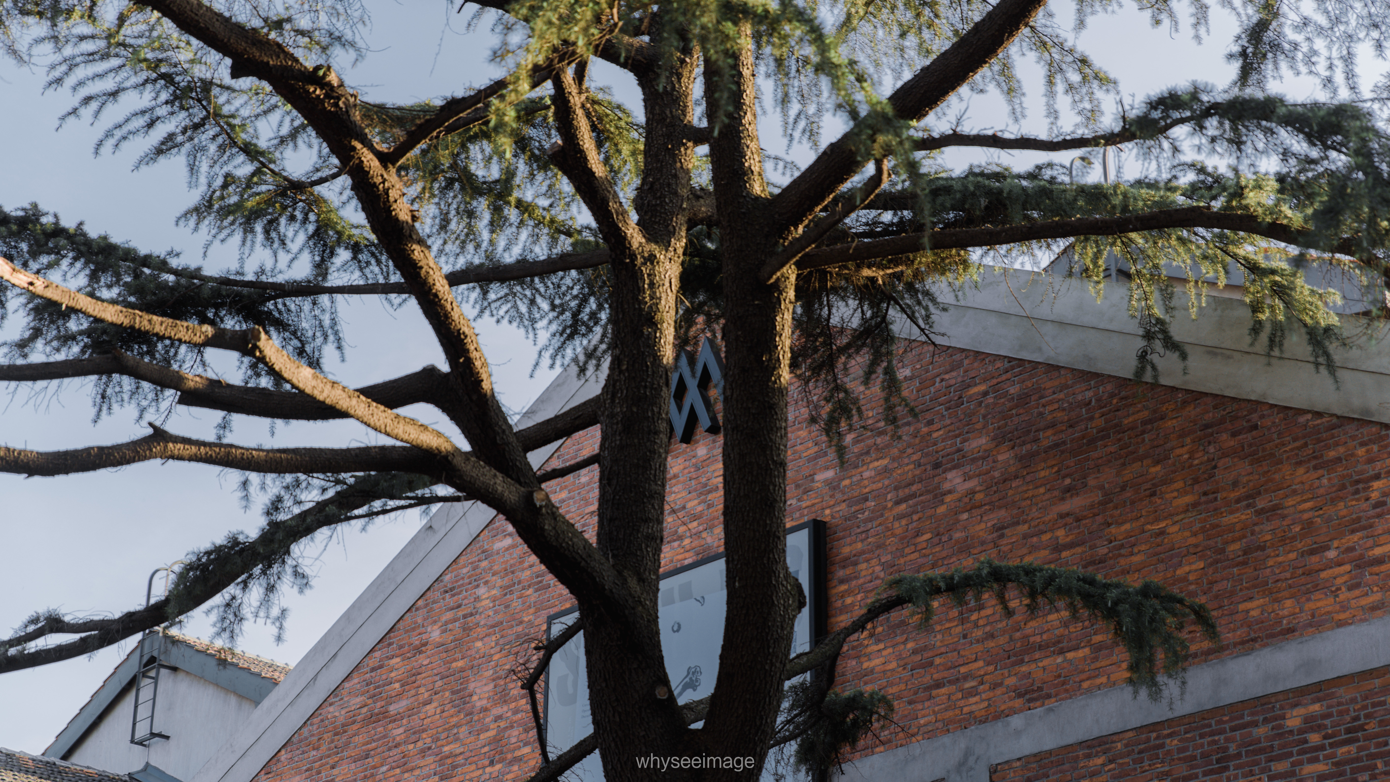 上海民生现代美术馆丨中国上海-102