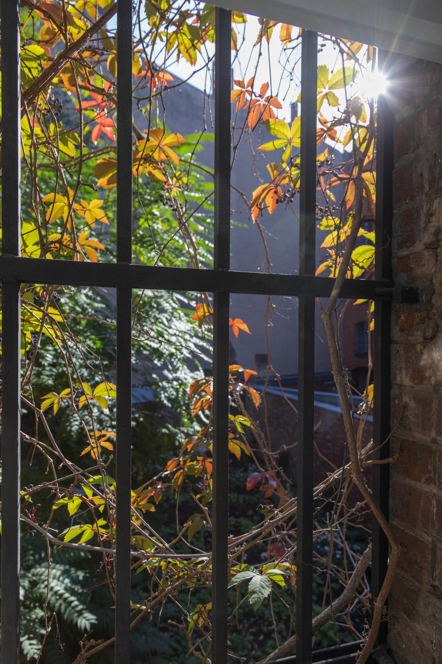 Wilmina 度假酒店丨德国柏林丨Grüntuch Ernst Architects-46