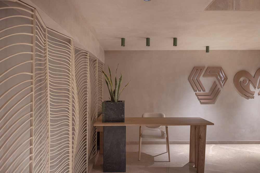 叶线2024年1月-17