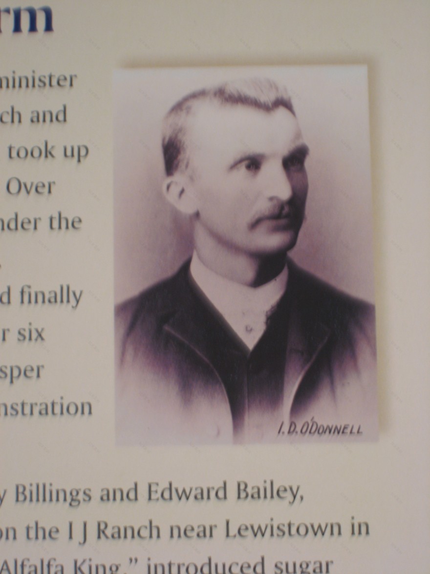 无明确统一项目名称(涉及多处建筑相关项目)丨中国黄石-18