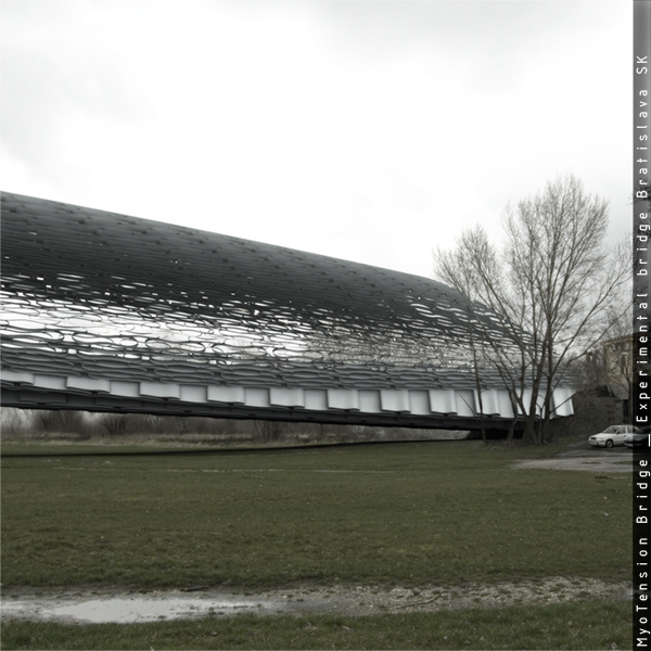 MyoTension Bridge _ Experimental bridge Bratislava_Diploma project | Miroslav Strigáč-1