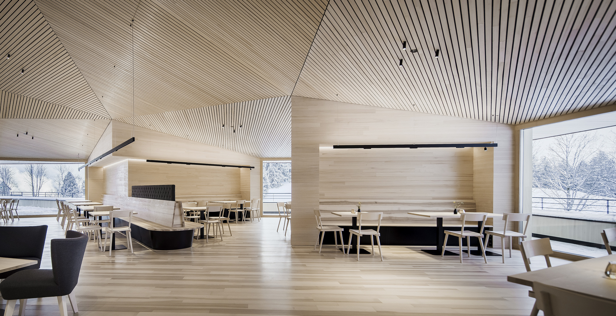 彼得霍夫阿尔卑斯山皮毛酒店丨Austria丨Baumschlager Eberle Architekten-23