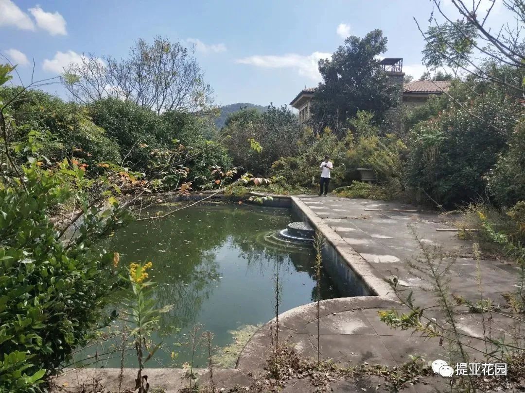 聆湖轩50号别墅花园设计丨中国宁波丨提亚生态科技(浙江)有限公司-63