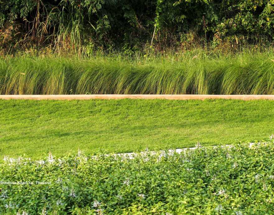 泰国考艾Botanica住宅酒店丨TROP:terrains + open space-36