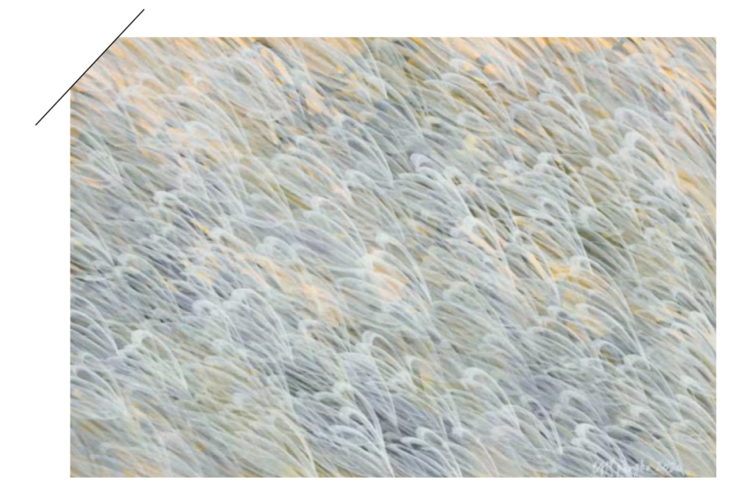 南京招商·臻境底跃丨中国南京丨31设计-31