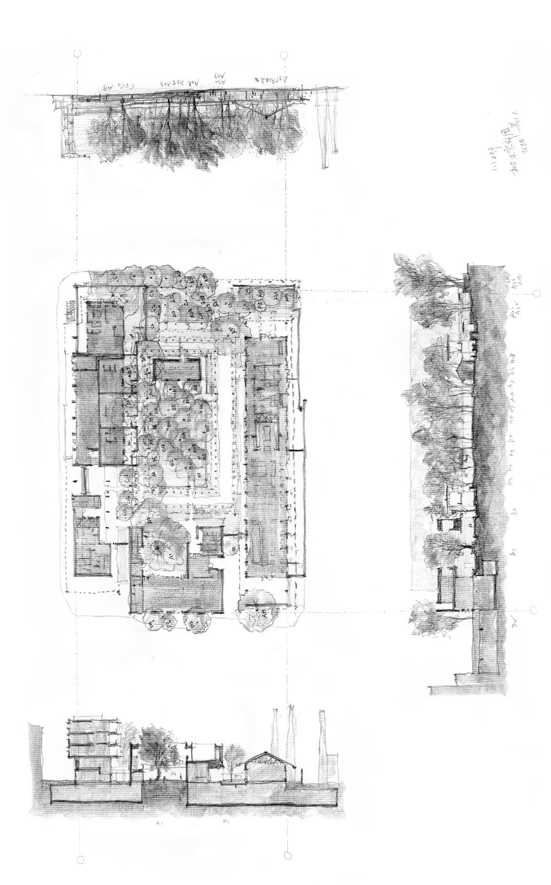 《平凡之树的再生》（聚焦“川上行”项目）丨意大利丨直向建筑-44